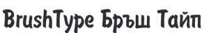 BrushType